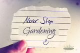 10 Popular Garden Quotes