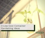 3 Low Cost Container Gardening Ideas