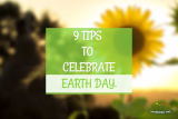 9 Simple Tips To Celebrate Earth Day At Home and Office