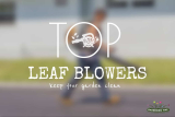 Best Leaf Blowers To Keep Your Garden Clean – Buying Guide