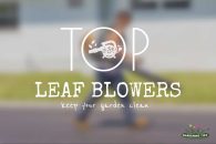 Best Leaf Blowers To Keep Your Garden Clean – Buying Guide