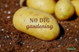 Why No Dig Gardening Methods Are Good For You And Your Garden?