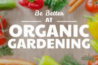 How To Become Better At Organic Gardening – (Guide)