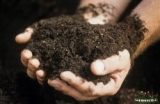Home Composting – Guide