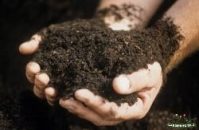 Home Composting – Guide