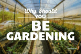 Why should you be gardening? – A Fact Guide