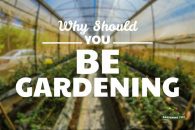 Why should you be gardening? – A Fact Guide